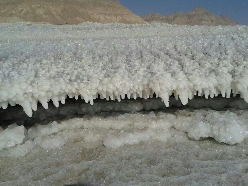 Villa Nadia Hosting Dead Sea Neve Zohar Esterno foto