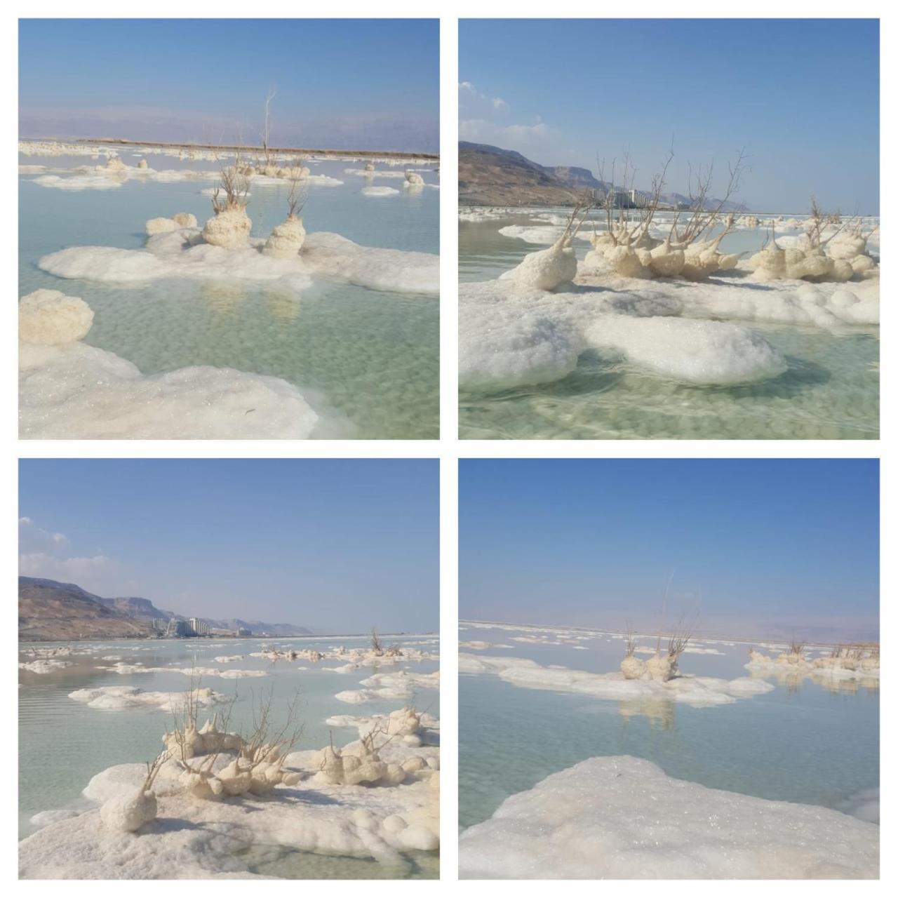 Villa Nadia Hosting Dead Sea Neve Zohar Esterno foto