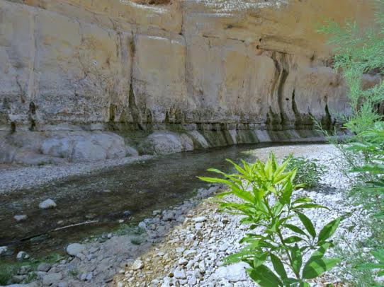 Villa Nadia Hosting Dead Sea Neve Zohar Esterno foto