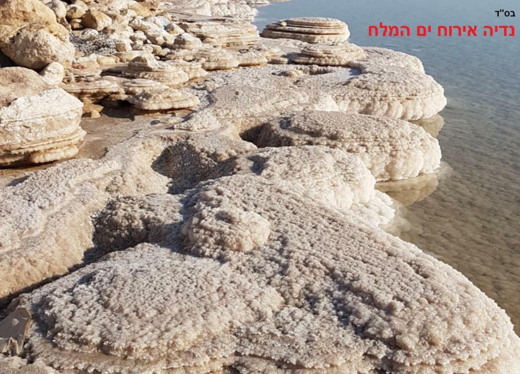 Villa Nadia Hosting Dead Sea Neve Zohar Esterno foto