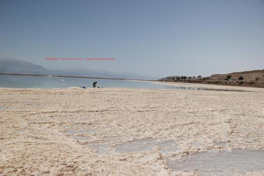 Villa Nadia Hosting Dead Sea Neve Zohar Esterno foto